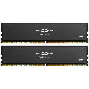 RAM памет Silicon Power SP032GXLWU60CFDJ