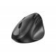 Мишка Genius GENIUS-ERGO-8350S-GR