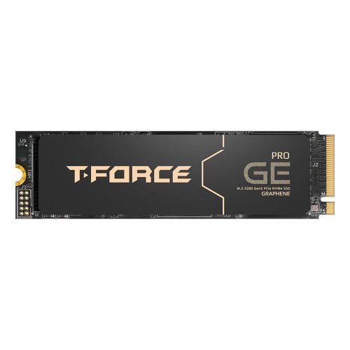 SSD Team Group TM8FG3002T0C133 (снимка 1)