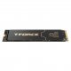 SSD Team Group TM8FG3002T0C133