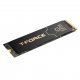 SSD Team Group TM8FG3002T0C133
