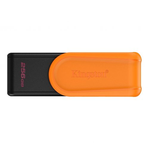 USB флаш памет Kingston DTXS/256GB (снимка 1)