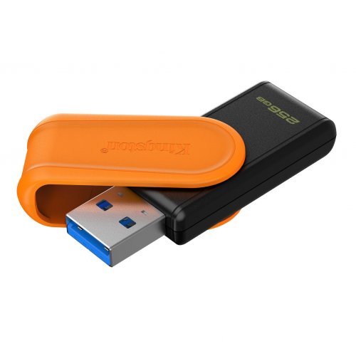 USB флаш памет Kingston DTXS/256GB (снимка 2)
