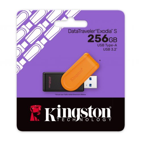USB флаш памет Kingston DTXS/256GB (снимка 3)