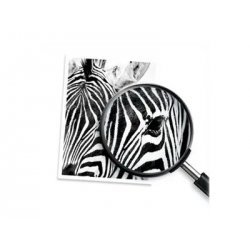 Консумативи за мастиленоструен печат > HP 4S6W2NE#CE1