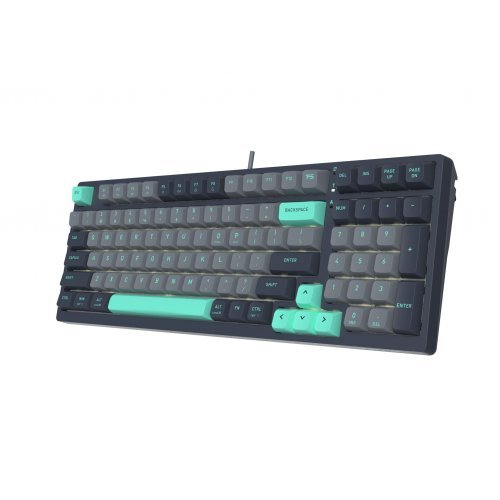 Клавиатура A4Tech FS300 PANDA (снимка 2)