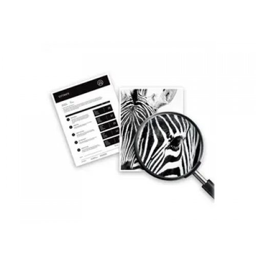 Консумативи за мастиленоструен печат > HP 4S6W5NE#CE1 (снимка 9)