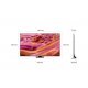 Телевизор Samsung QE98QN90FATXXH