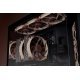 Охлаждане Noctua NF-A12x25-G2-PWM