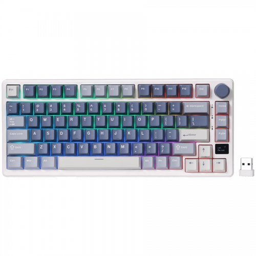 Клавиатура ROYAL KLUDGE RK-M75-OCBLU-KSLVSW-US (снимка 1)