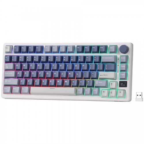 Клавиатура ROYAL KLUDGE RK-M75-OCBLU-KSLVSW-US (снимка 2)