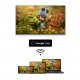 Телевизор Thomson 65QG6C14