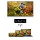 Телевизор Thomson 55UG5C14
