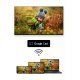 Телевизор Thomson 65UG5C14