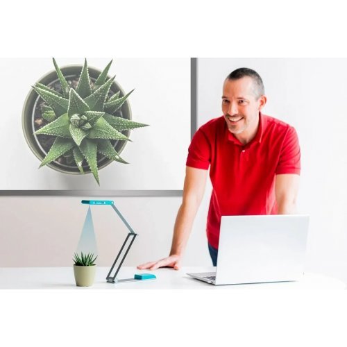 Скенер IRIS VISUALIZER 7 Dislexic (снимка 9)