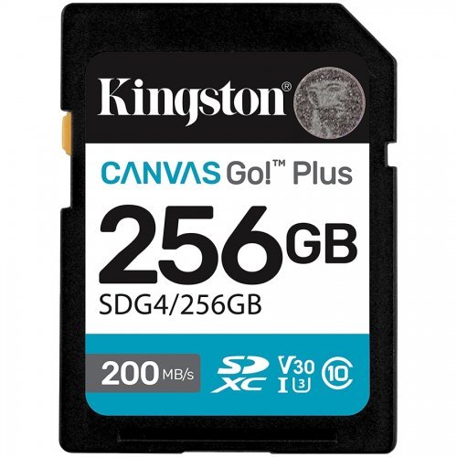 Флаш карта Kingston SDG4/256GB (снимка 1)