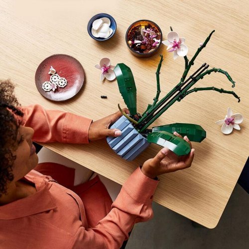 Пъзели и Lego > LEGO 10311 (снимка 5)