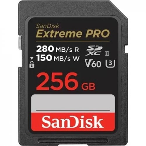 Флаш карта SanDisk SDSDXEP-256G-GN4IN (снимка 1)