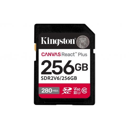 Флаш карта Kingston SDR2V6/256GB (снимка 1)