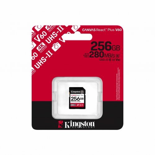 Флаш карта Kingston SDR2V6/256GB (снимка 3)