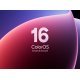 Смартфон OPPO CPH2797_12+512_TG