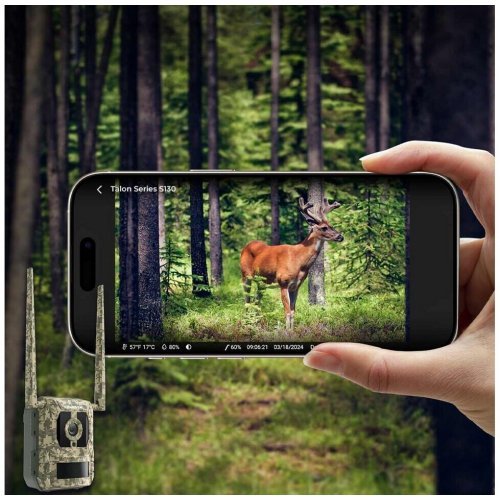 IP камера Reolink Talon Series S130 Camvoue Talon Pro (снимка 6)