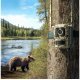 IP камера Reolink Talon Series S130 Camvoue Talon Pro