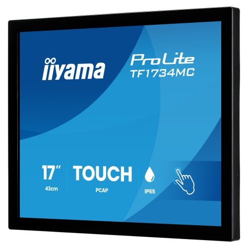 Монитор iiyama (снимка 4)