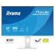Монитор iiyama