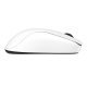 Мишка Zowie 9H.N4NBE.A3E