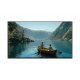 Телевизор Sony K43XR35M2PB.CEI