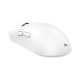 Мишка White Shark BORS-W
