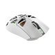 Мишка White Shark MORIEN-W