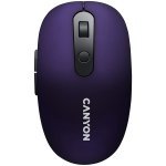 Мишка Canyon CNS-CMSW09V