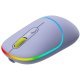 Мишка Canyon CNS-CMSW22ML