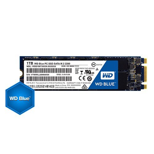 SSD Western Digital Blue WDS100T1B0B (снимка 1)