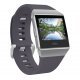 Ръчен часовник Fitbit Ionic FB503WTGY-EU