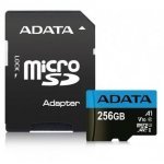 Флаш карта Adata AUSDX256GUICL10A1-RA1