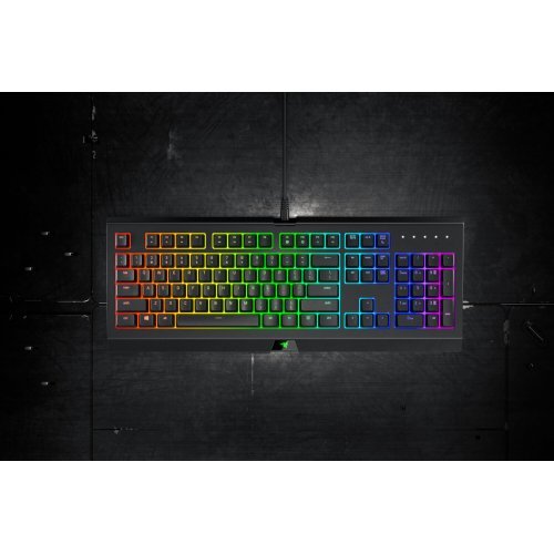 Клавиатура Razer Cynosa Chroma - US Layout RZ03-02260100-R3M1 (снимка 5)