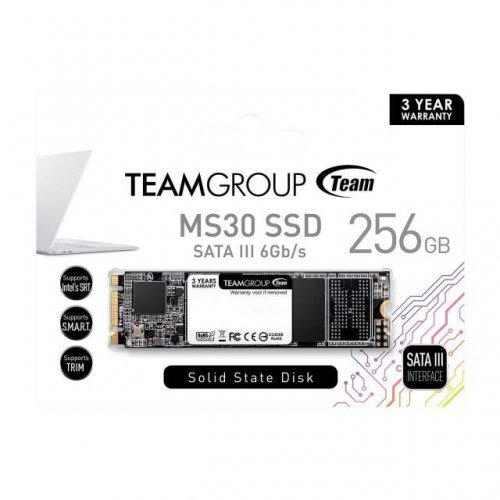 SSD Team Group TM8PS7256G0C101 TEAM-SSD-MS30-256GB (снимка 2)