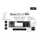 SSD Team Group TM8PS7256G0C101 TEAM-SSD-MS30-256GB