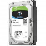 Твърд диск Seagate SkyHawk Surveillance ST6000VX001