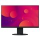 Монитор EIZO EV2460-BK