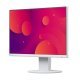 Монитор EIZO EV2460-WT
