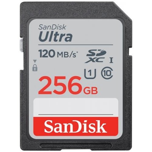 Флаш карта SanDisk SDSDUN4-256-GN6IN SD-SDUN4-256G-GN6IN (снимка 1)