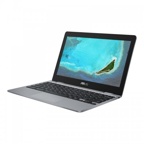 Лаптоп Asus Chromebook C223NA-GJ0055 90NX01Q1-M01430 (снимка 2)
