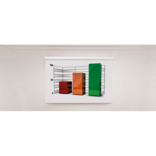 Екран за проектор Euroscreen Diplomat DD150 DD150 (снимка 3)