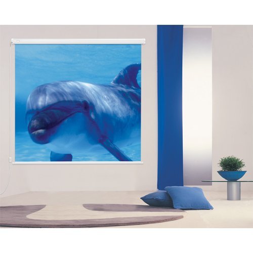 Екран за проектор Euroscreen Connect CELIN1814 CELIN1814 (снимка 3)