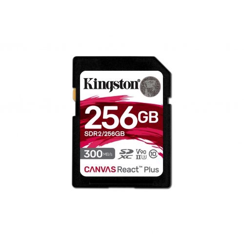 Флаш карта Kingston SDR2/256GB (снимка 1)