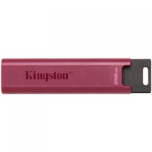 USB флаш памет Kingston DataTraveler Max DTMAXA/256GB (снимка 1)